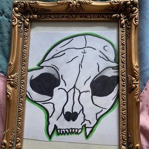 Framed cat skull drawing